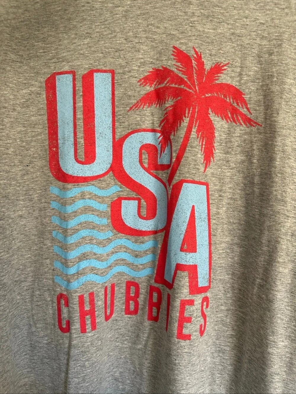chubbies Grey Short-Sleeve USA Graphic Tee with Red & Light Blue Print - Picture 2 of 4